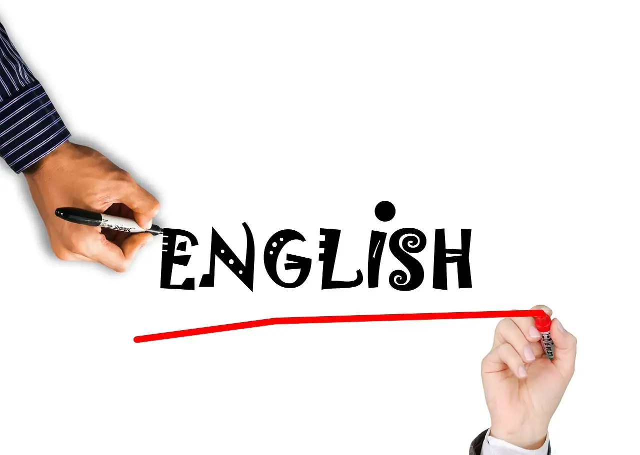 Does erasmus university rotterdam teach in english