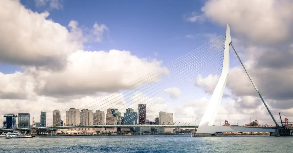 Heeft Bibliotheek Rotterdam wifi? Vind het hier