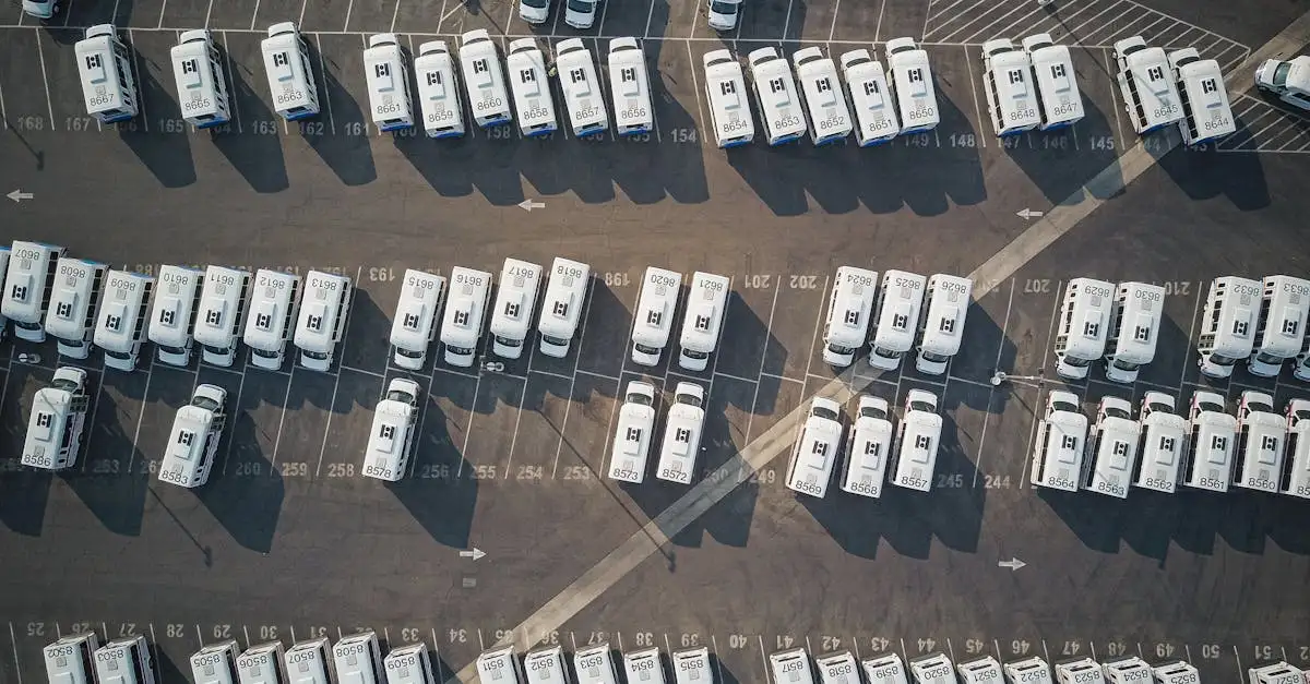 Gratis parkeren in Rotterdam: de regels en uitzonderingen