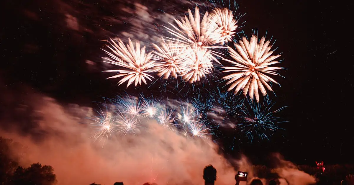 Vuurwerk kijken in Rotterdam: de beste plekken