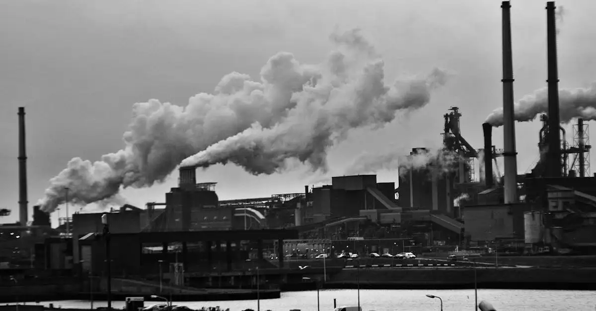 Waarom heet Rotterdam Alexander? De oorsprong