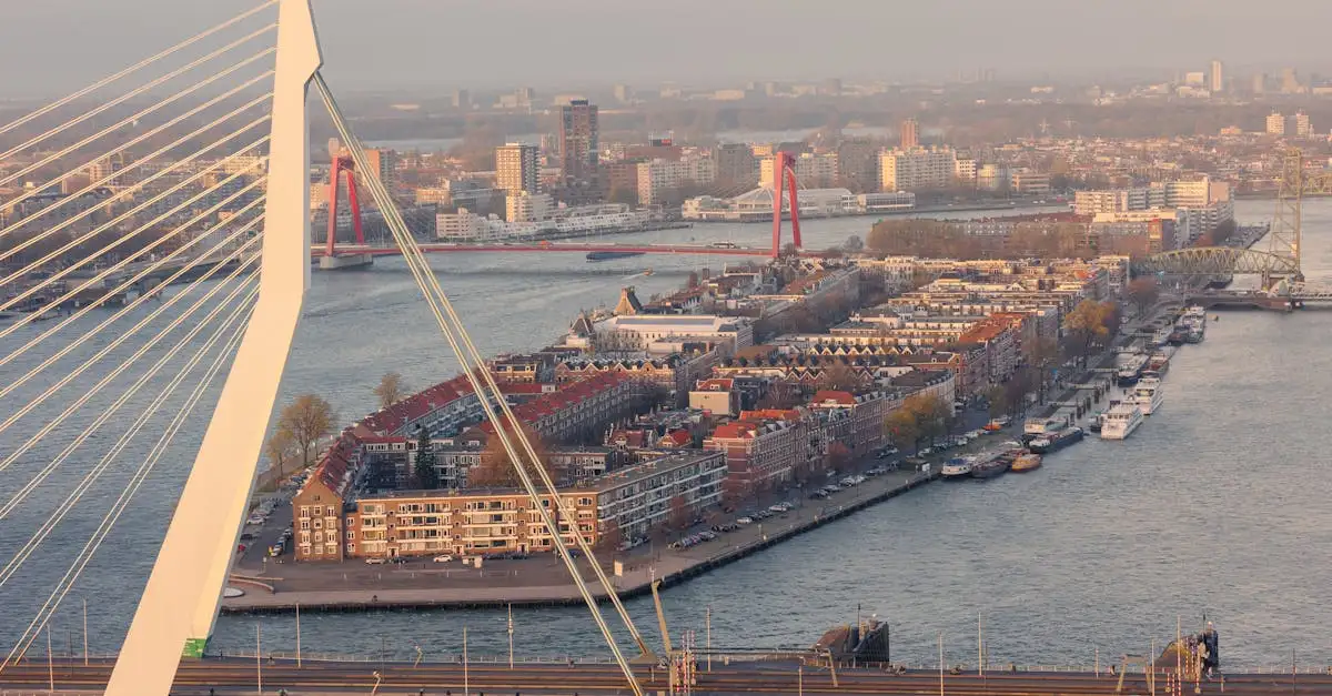 Wat te doen met een dreumes in Rotterdam?