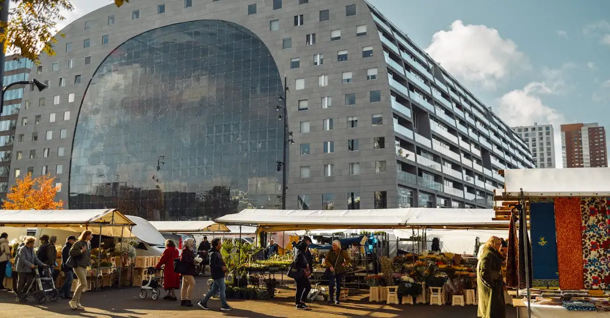 Wat te doen in Rotterdam? Goedkope tips