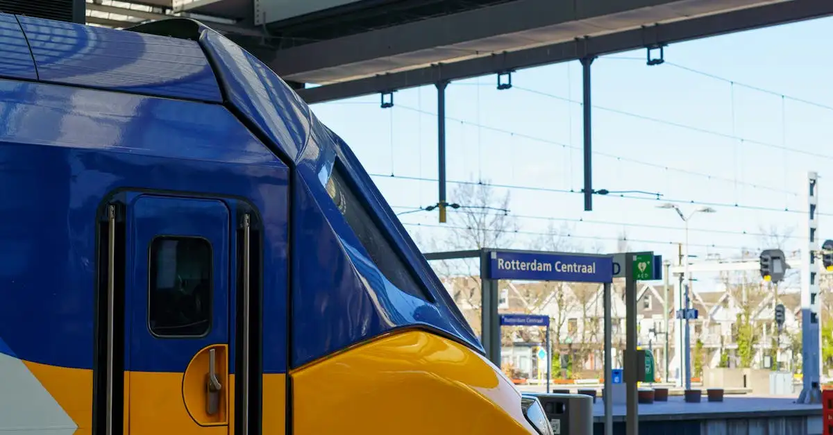 Wat te doen rond Rotterdam Centraal: Tips en
