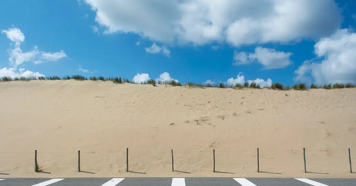 Dichtstbijzijnde strand bij Rotterdam: Snel en makkelijk